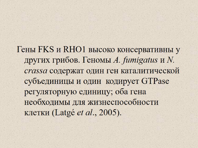 Гены FKS и RHO1 высоко консервативны у других грибов. Геномы A. fumigatus и N.